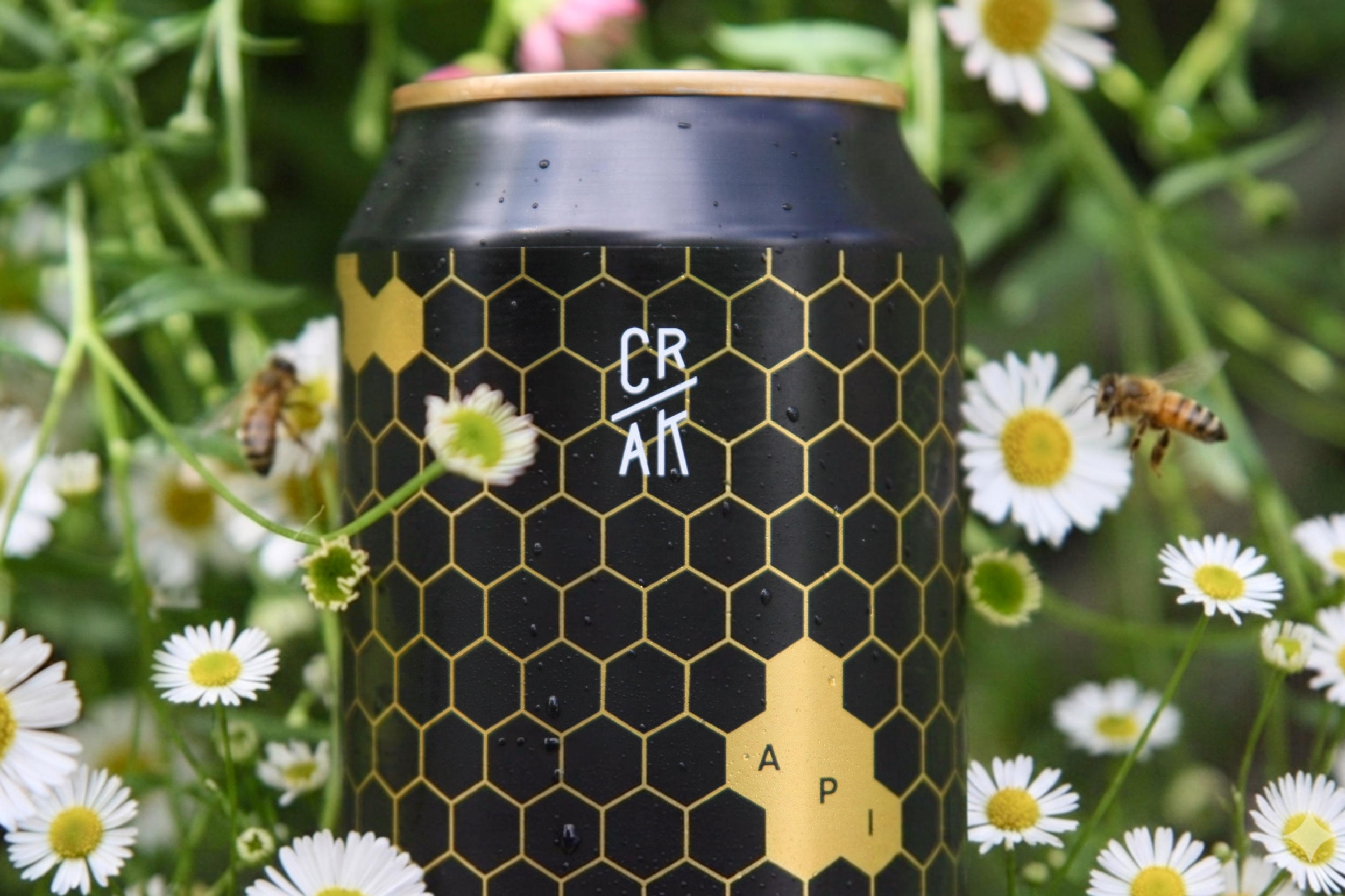 shop
birre