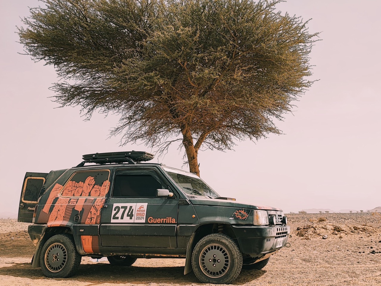 Panda Raid 2024 - Guerrilla Corse