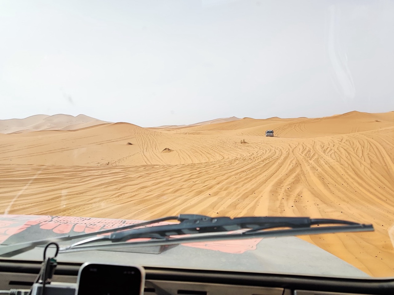 Panda Raid 2024 - Guerrilla Corse